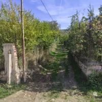 زمین باغی ویلا|فروش خانه و ویلا|رستمکلا, |دیوار