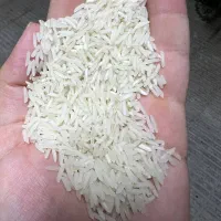برنج