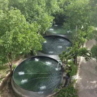 استخدام کارگر دائمی پرورش ماهی