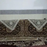 دوجف پشتی هفصد شانه