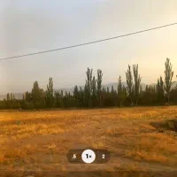اجاره-زمین-برای-کاشت-پیاز