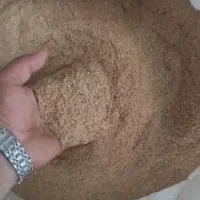 سبوس گندم