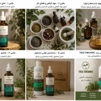 کمک برای ساختن پیج اینستاگرام