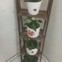 چهارعددگل وگلدون طبیعی بااستند|گل و گیاه طبیعی|تهران, خلیج فارس|دیوار