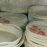 فروش ارکوپال