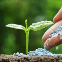 تجربه ۳۰درصد افزایش تناژ