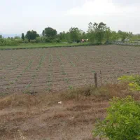 فروش زمین در لنگرود|فروش زمین و ملک کلنگی|رشت, چله خانه|دیوار