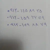 فروش ۳ خط کد ۱ رند قشنگ زیر قیمت فوری