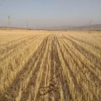 اجاره زمین کشاورزی