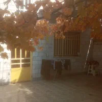 اجاره آپارتمان ۶۵ متری تخلیه|اجارهٔ آپارتمان|کرج, شهرک امام رضا (ع)|دیوار