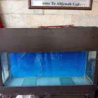 ااکواریوم ماهی همراه پایه