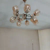 اوستر۱۲ شاخه