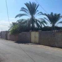 فروش زمین(خورموج) لنگک|فروش زمین و ملک کلنگی|خورموج, |دیوار