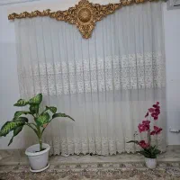 پرده سالم در حد نو باکتیبه