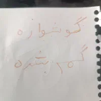 گوشواره گمشده