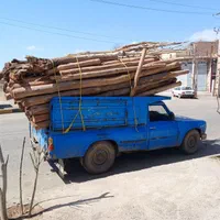 خرید چوب درخت قلمه، دام آغاجی ضایعات در باغ و حیاط|خدمات باغبانی و درختکاری|خوی, |دیوار