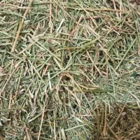 یونجه خورد شده جهت خرگوش خوکچه همستر و..