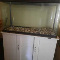 آکواریوم شیشه خم با میز ماهیران،فروش فوری