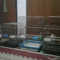 قفس 1033و1032وساده