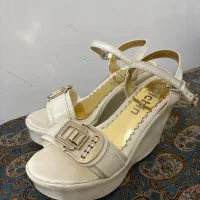 کفش مجلسی