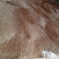 خرید فروش  محصولات کشاورزی|عمده‌فروشی|شیراز, پادگان نیروی هوایی بعثت|دیوار