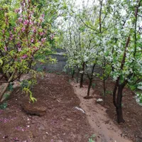 فروش  و معاوضه باغ  روستای زواریان|فروش خانه و ویلا|قم, میرزائیه|دیوار