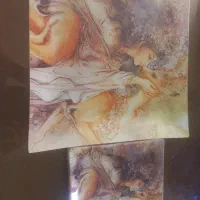 ظروف|ظروف سرو و پذیرایی|کرج, کرج نو|دیوار