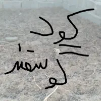 کود گوسفند فروشی