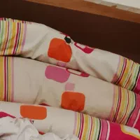 ۲ عدد تشک  یک نفره