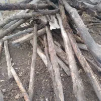 چوب برای زغال یا نئوپان|عمدهفروشی|خلخال, |دیوار