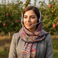 نهال سیب مراغه قرمز و زرد شیرین و ابدار