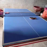 میز پینگ پنگ|ورزشهای توپی|کلاچای, |دیوار