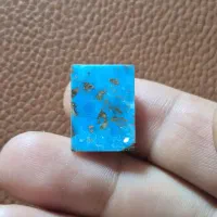 فیروزه شجر نیشابوری