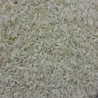 برنج چمپا|خوردنی و آشامیدنی|یاسوج, |دیوار