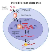 تدریس زیست شناسی و شیمی متوسط دوم