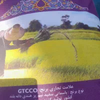 برنج جی تی سی ومهرنجان وبخشایش