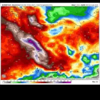 اجاره زمین کشاورزی دیم برتش