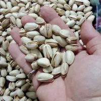 کله قوچی|خوردنی و آشامیدنی|تهران, زنجان جنوبی|دیوار