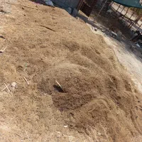 فروش کود گوسفندی