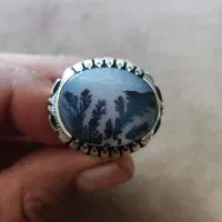 انگشتر ناز درجه یک‌فوق کلکسیونی