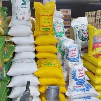 برنج علی کاظمی