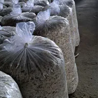 تفاله چغندرخشک فشنگی وتر بارطوبت کم باقیمت منصفانه