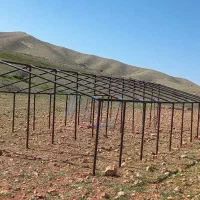 لوله داربست