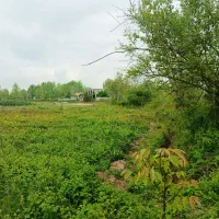 ۴۳۰۰ مترزمین باغی گیلان رشت سنگر