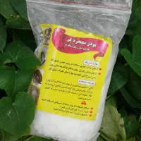 پودر معجزه گر