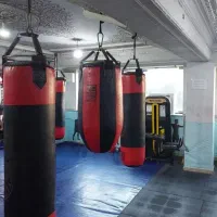 استخدام مربی آقا و خانم برای مجموعه ورزشی|استخدام آموزشی|کرمانشاه, |دیوار