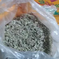 گیاه دارویی بیمادرون کاکوتو گل پرفروشی دارم|خوردنی و آشامیدنی|تربت جام, جلگه موسی آباد|دیوار