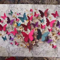 روبالشتی لوکس