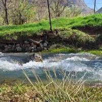 پلاک ۹۸(ج)در محور ایلام پیدا شده