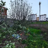 زمینی به متراژ ۱۲۰۰ متر مربع در خیابان شهدای رشت|فروش زمین و ملک کلنگی|رشت, فلسطین|دیوار